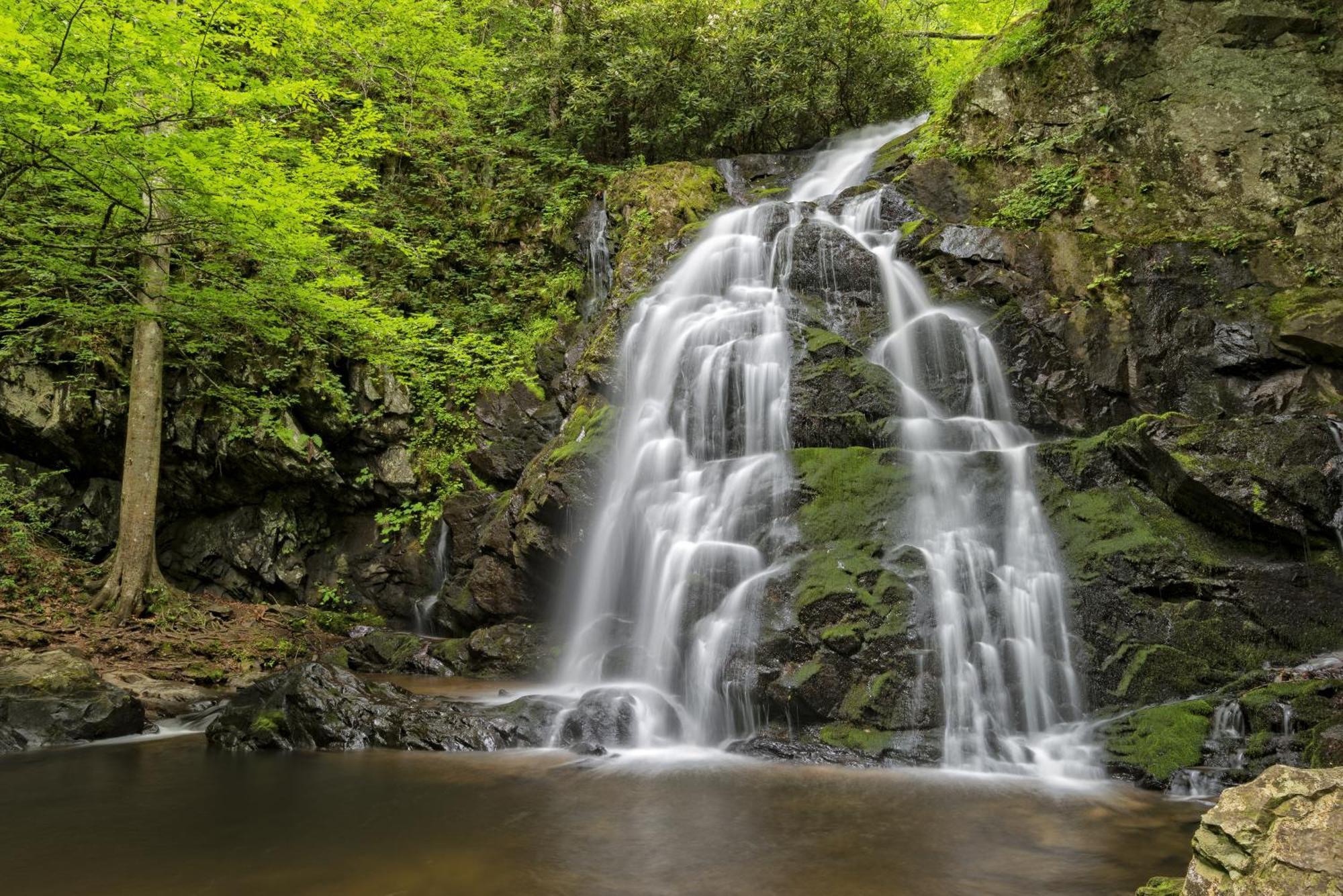 Hidden Creek, Pool Table, Hot Tub, 1089 Free Tickets Each Paid Day, Dollywood And More Gatlinburg Eksteriør billede