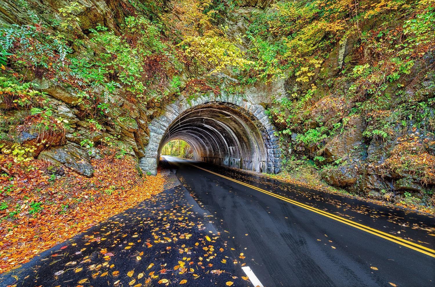 Hidden Creek, Pool Table, Hot Tub, 1089 Free Tickets Each Paid Day, Dollywood And More Gatlinburg Eksteriør billede